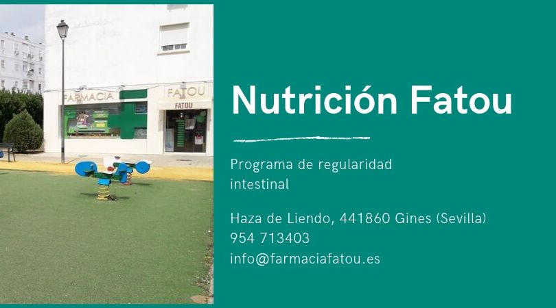 nutricionista gines nutricionista gines